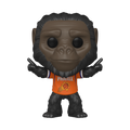 POP! THE SUNS GO-RILLA
